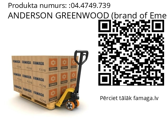   ANDERSON GREENWOOD (brand of Emerson) 04.4749.739