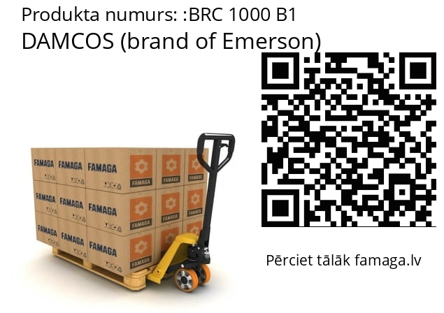   DAMCOS (brand of Emerson) BRC 1000 B1