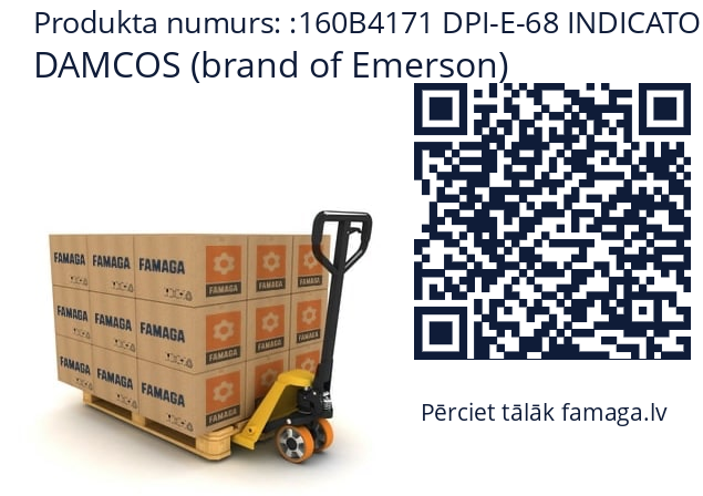   DAMCOS (brand of Emerson) 160B4171 DPI-E-68 INDICATOR (NO) M20 GLAND