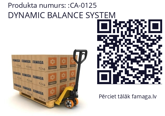   DYNAMIC BALANCE SYSTEM CA-0125